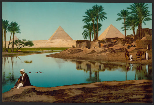 A picture of Egypt. Cairo. The pyramids and fellahs