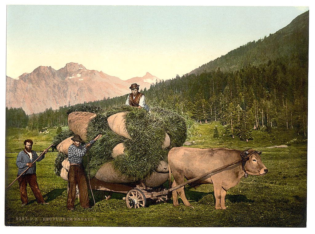 A picture of Engadine, carrying hay in the Engadine, Grisons, Switzerland