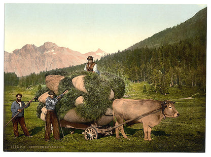 A picture of Engadine, carrying hay in the Engadine, Grisons, Switzerland
