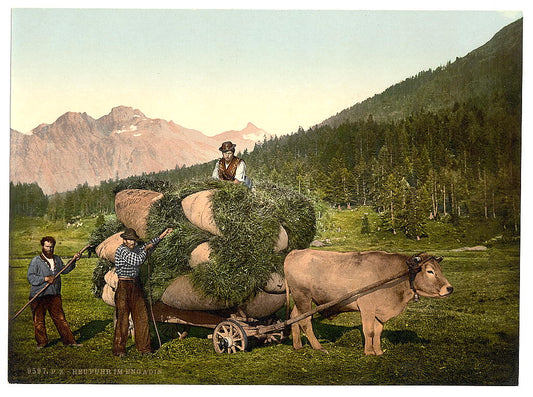 A picture of Engadine, carrying hay in the Engadine, Grisons, Switzerland