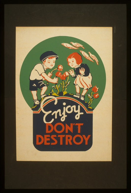 A picture of Enjoy - don't destroy
