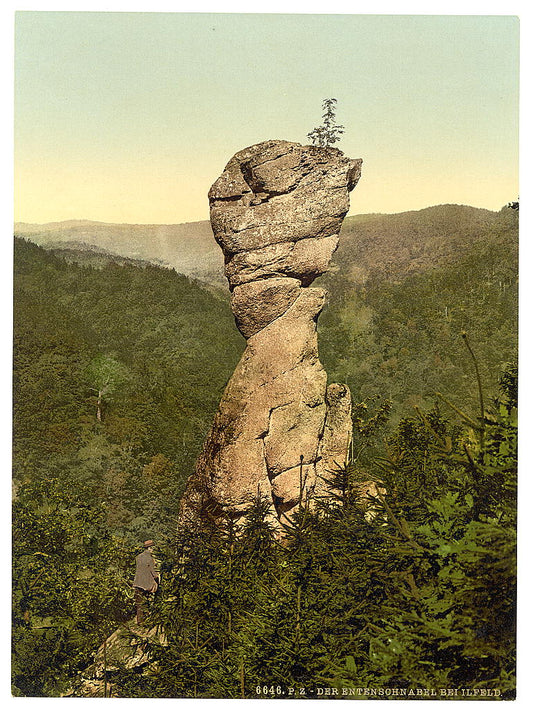 A picture of Entenschnabel, Ilfeld, Hartz, Germany