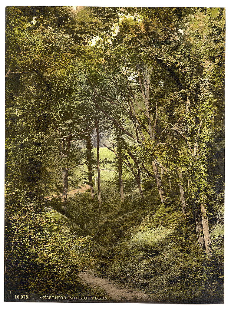 A picture of Fairlight Glen, Hastings, England 