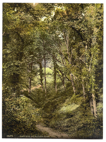 A picture of Fairlight Glen, Hastings, England 