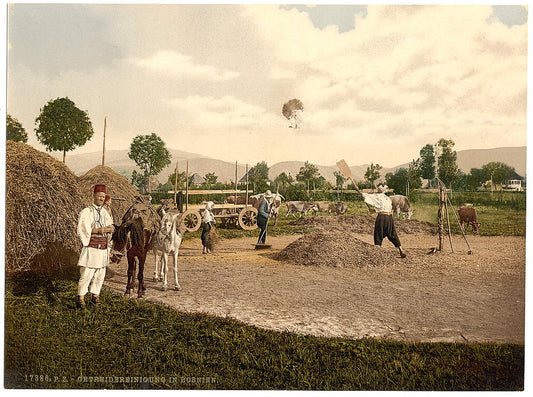 A picture of Farm scene, Bosnia, Austro-Hungary