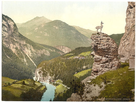 A picture of Finstermunz Road showing chamois, Tyrol, Austro-Hungary