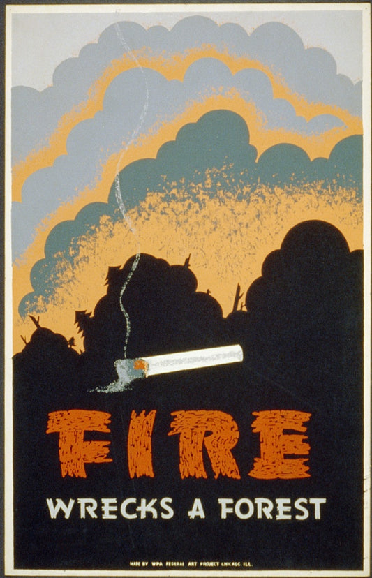 A picture of Fire wrecks a forest