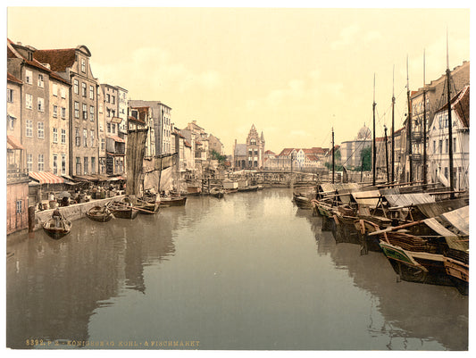 A picture of Fish and vegetable market, Konigsberg, East Prussia, Germany (i.e., Kaliningrad, Kaliningradskai︠a︡ oblastʹ, Russia)