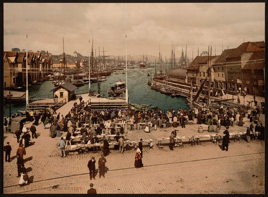 A picture of Fish market, Bergen, Norway