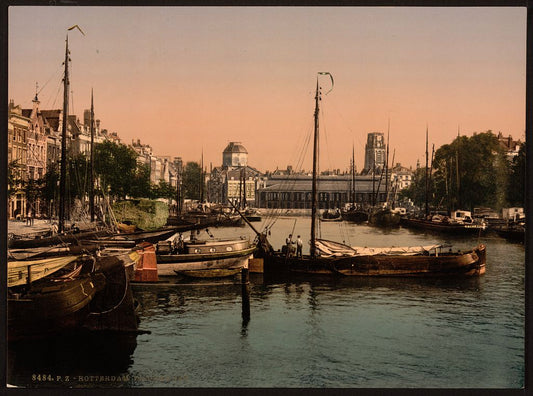 A picture of Fish market, Rotterdam, Holland