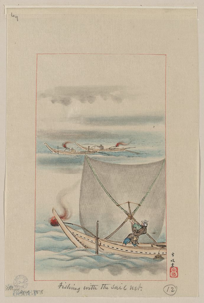 A picture of Fishing with the sail net