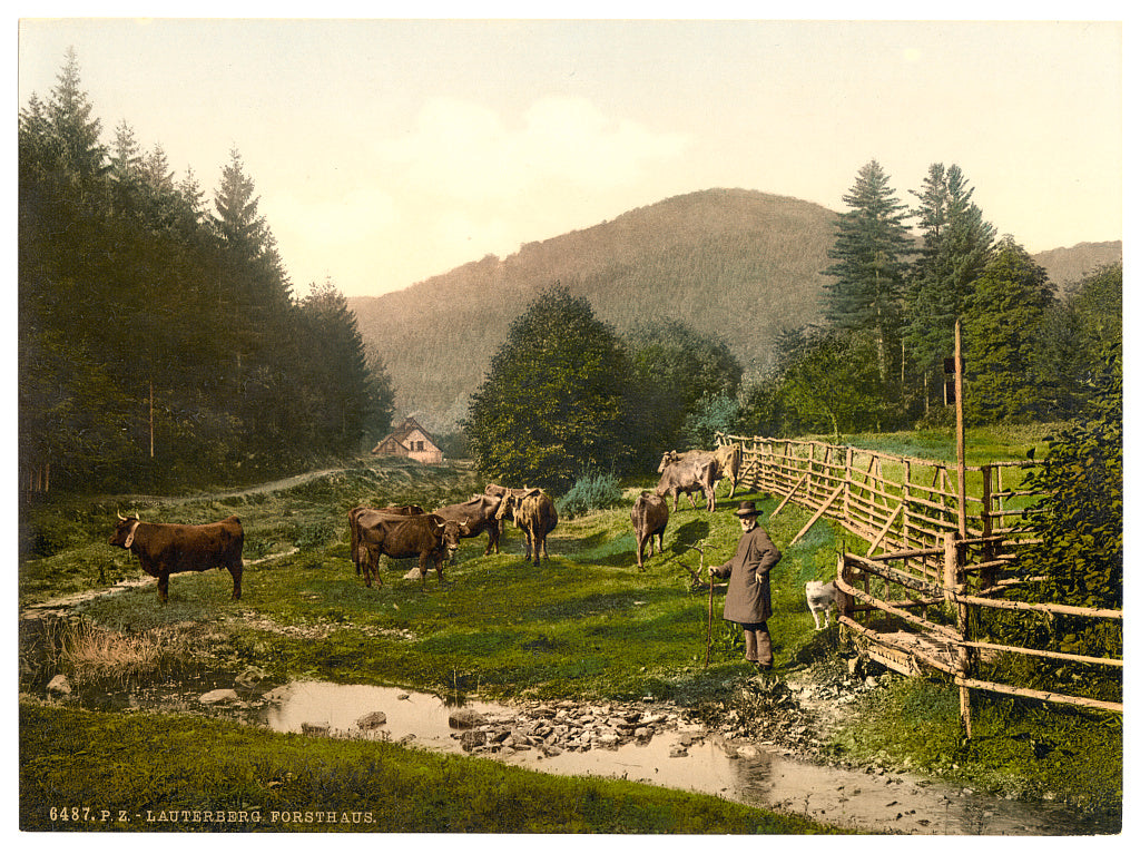 A picture of Forest House, Lauterberg (i.e. Bad Lauterberg im Harz), Hartz, Germany