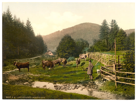 A picture of Forest House, Lauterberg (i.e. Bad Lauterberg im Harz), Hartz, Germany