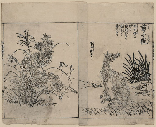 A picture of Foxes and chrysanthemums