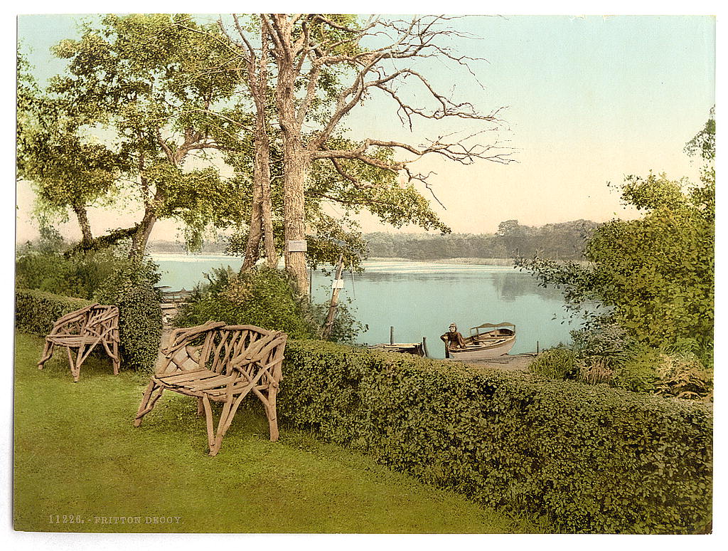 A picture of Fritton Decoy, Fritton, England