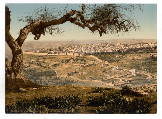 A picture of From Mount Scopus, Jerusalem, Holy Land