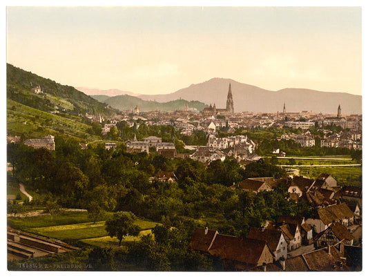 A picture of From Rebgut Sonnenberg, Freiburg, Baden, Germany