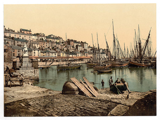 A picture of From the Harbor, Brixham, England