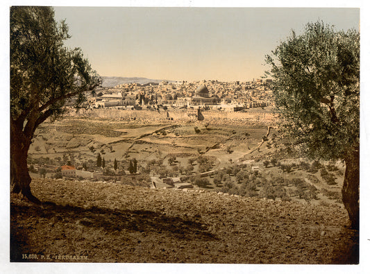 A picture of From the Mount of Olives, general view, Jerusalem, Holy Land