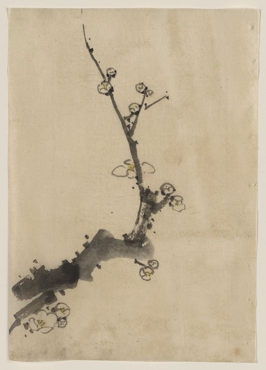 A picture of Fruit tree branch with blossoms