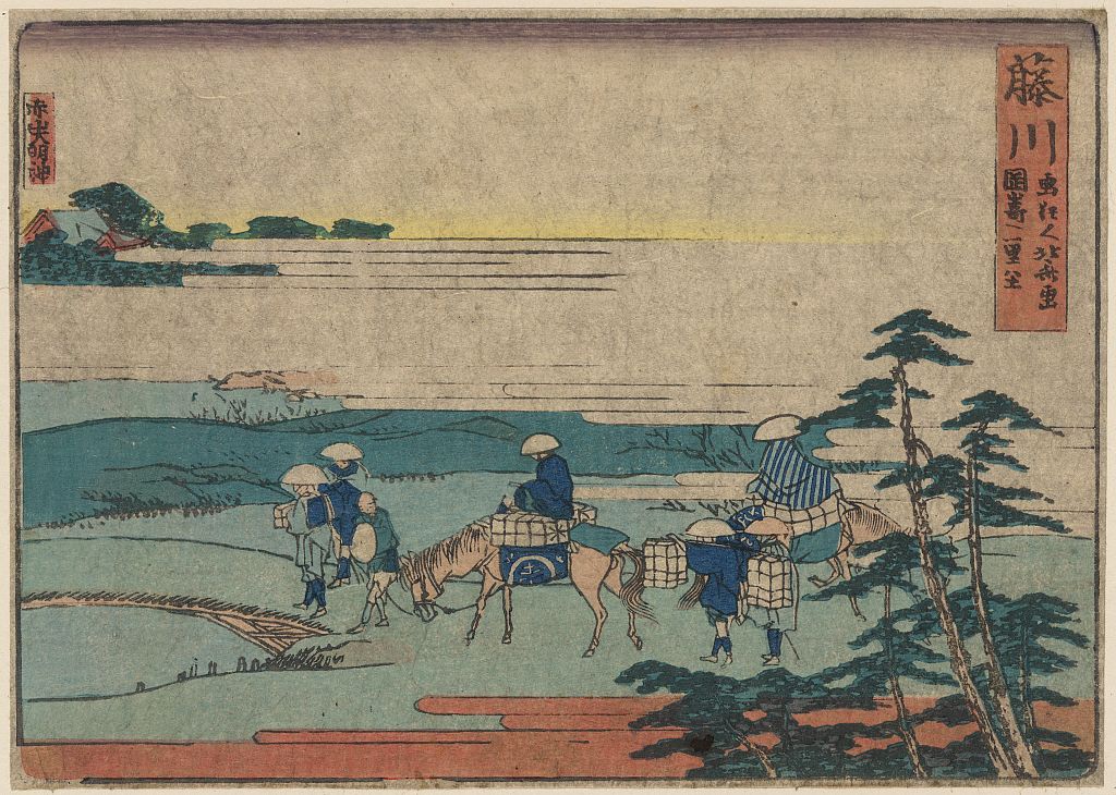 A picture of Fujikawa