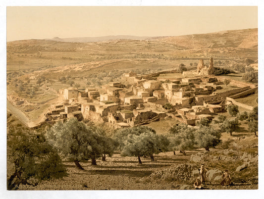 A picture of General view, Bethany, Holy Land, (i.e., West Bank)