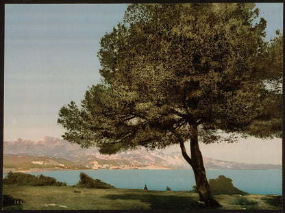 A picture of General view, Cap Martin, Mentone, Riviera