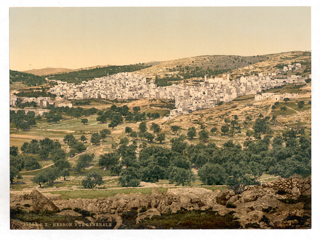 A picture of General view, Hebron, Holy Land, (i.e. West Bank)