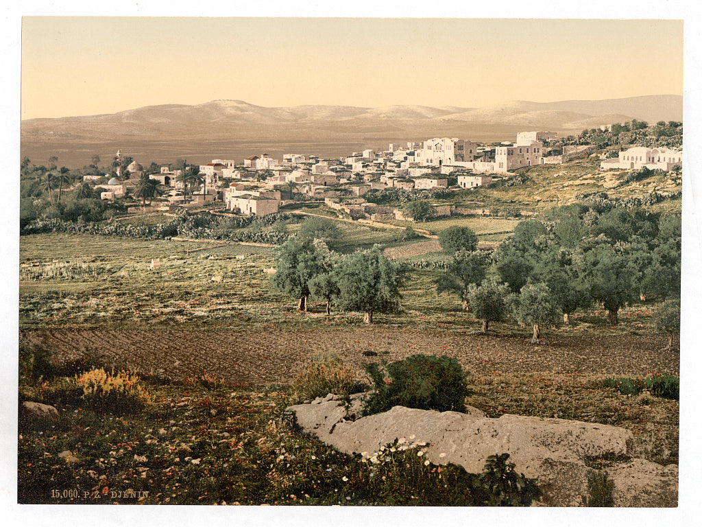 A picture of General view, Jenin, Holy Land, (i.e., West Bank)