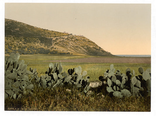 A picture of General view, Mount Carmel, Holy Land, (i.e. Israel)