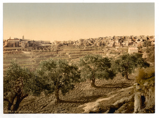 A picture of General view of the well of David, Bethlehem, Holy Land, (i.e., West Bank)