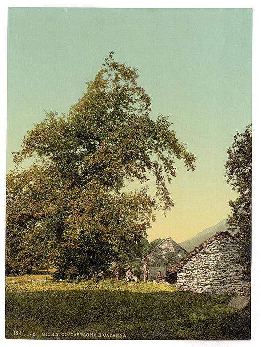 A picture of Giornico, peasant's hut, St. Gotthard Railway, Switzerland