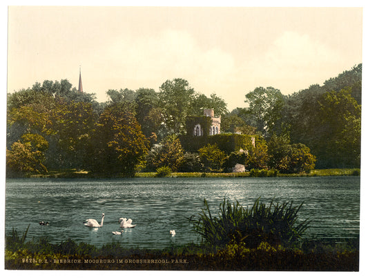 A picture of Grand Duke's Park, Moosburg, Biebrich, the Rhine, Germany