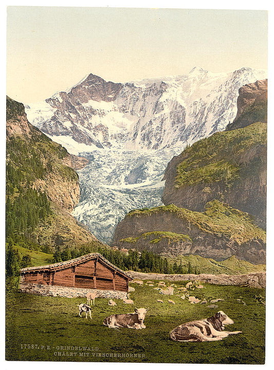 A picture of Grindelwald, chalet and Vischerhorn, Bernese Oberland, Switzerland 