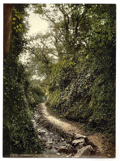 A picture of Guernsey, water lane, Moulin Huet, Channel Islands