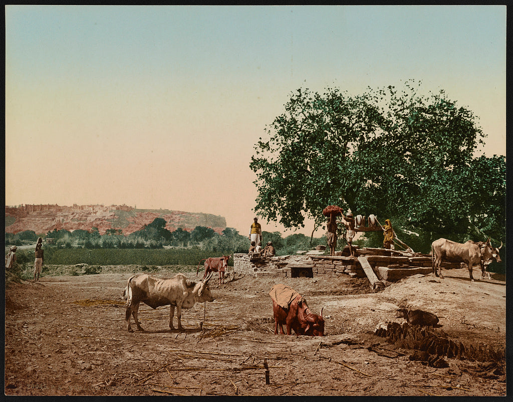 A picture of Gwalior. Ooa with the Fort