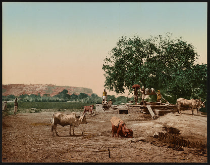 A picture of Gwalior. Ooa with the Fort