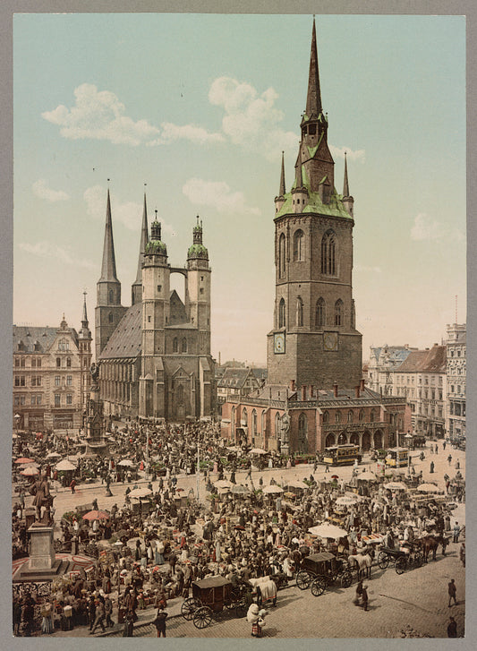 A picture of Halle A. D. S.