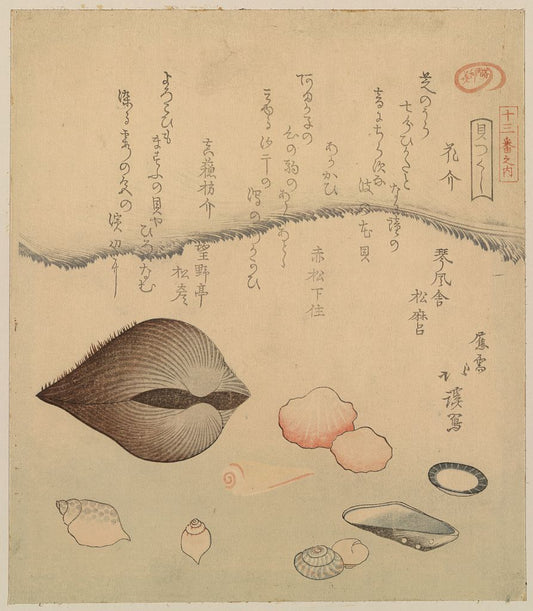 A picture of Hana gai aragai masuō gai