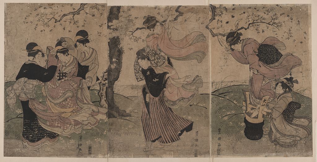 A picture of Hanaarashi