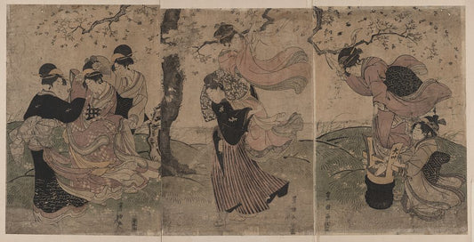 A picture of Hanaarashi