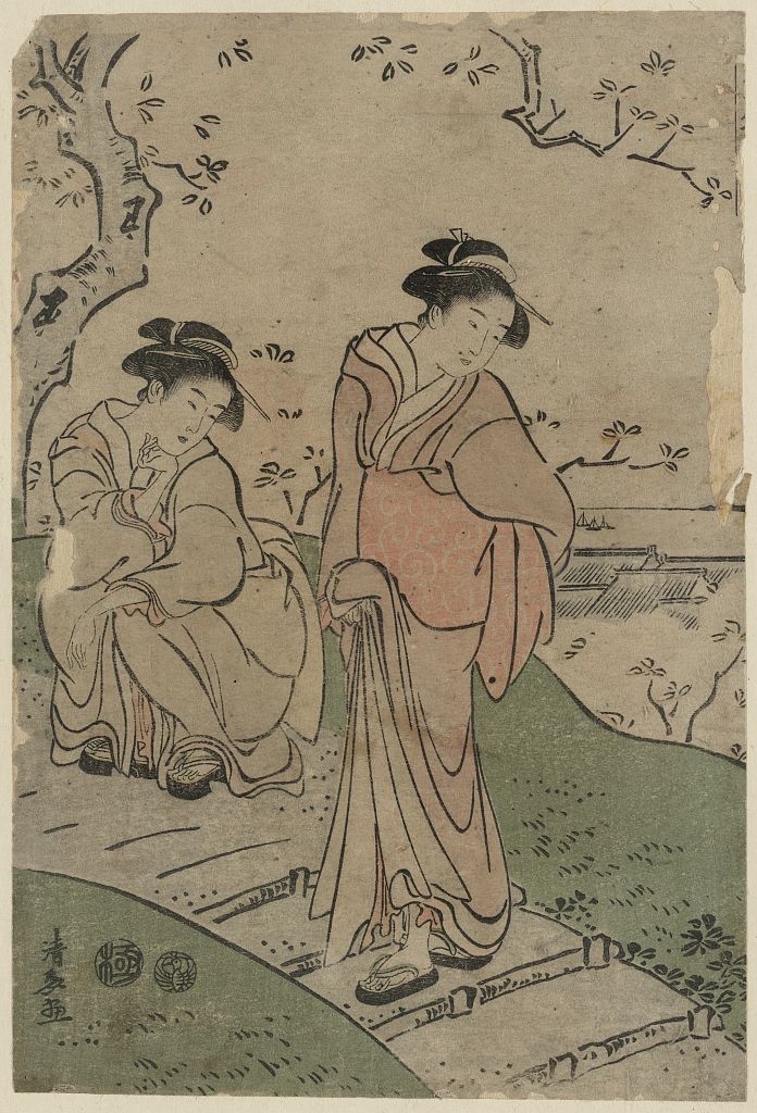 A picture of Hanami