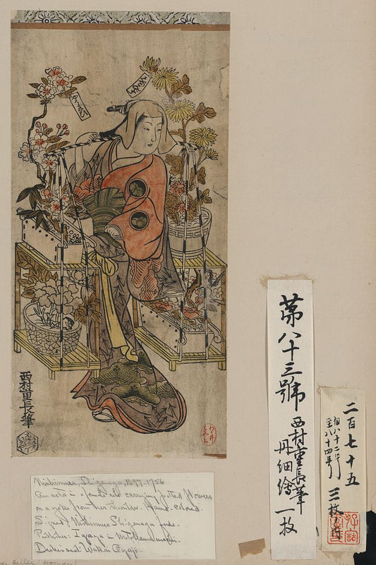 A picture of Hanauri