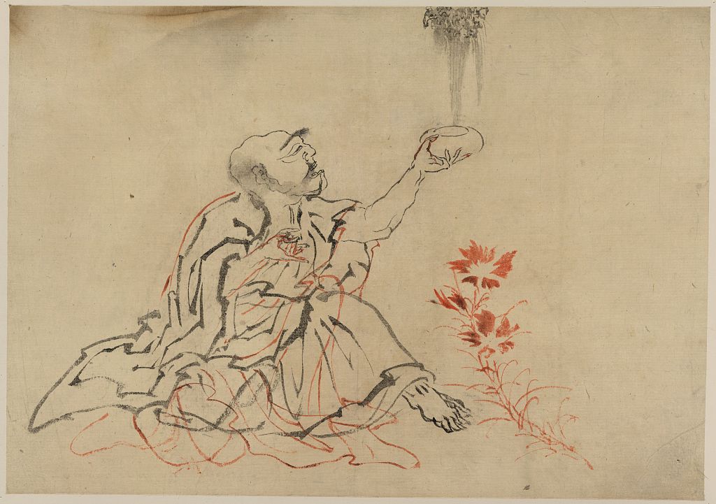A picture of Handaka sonja