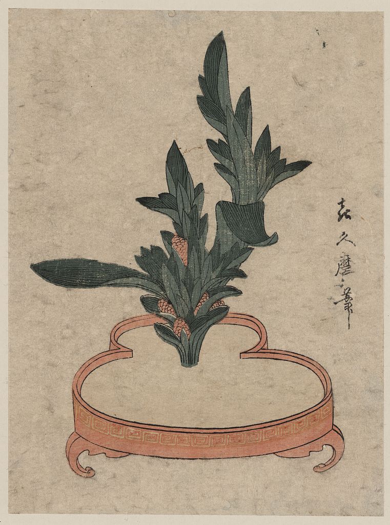 A picture of Haran rikkazu