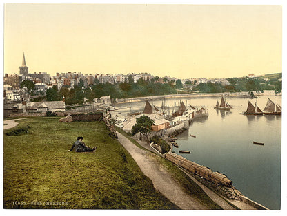 A picture of Harbor, Tenby, Wales