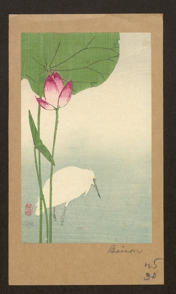 A picture of Hasu ni shirasagi