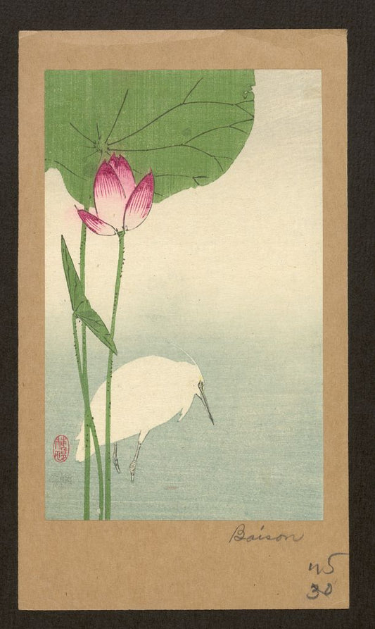 A picture of Hasu ni shirasagi