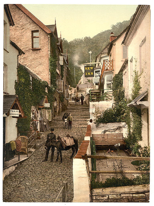 A picture of High Street, Clovelly, England
