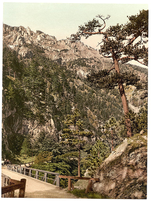 A picture of Hoellenthal (i.e., Höllental), entrance to the valley, Lower Austria, Austro-Hungary